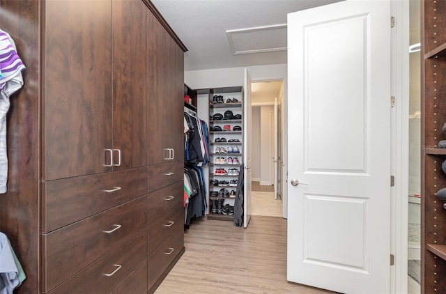 walk in closet featuring light hardwood / wood-style floors