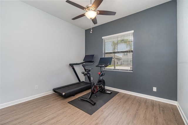 exercise area with hardwood / wood-style flooring and ceiling fan