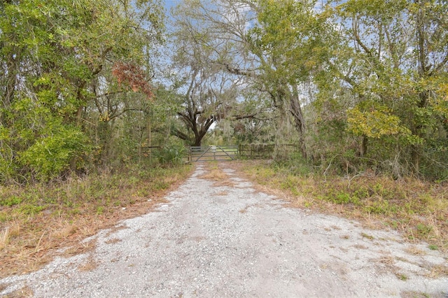 Listing photo 3 for 6930 Muck Pond Rd, Seffner FL 33584