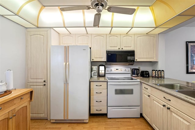 kitchen with sink, white appliances, ceiling fan, light hardwood / wood-style floors, and light brown cabinetry