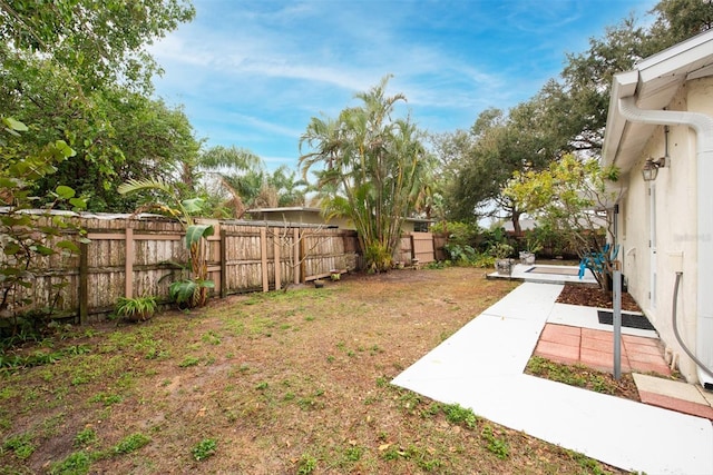 view of yard with a patio area