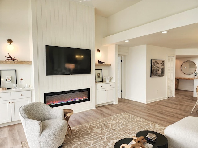 living room featuring a large fireplace and light hardwood / wood-style floors