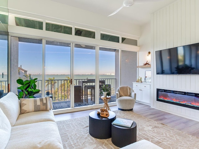 living room featuring hardwood / wood-style flooring