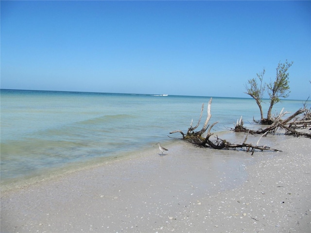 view of water feature with a beach view