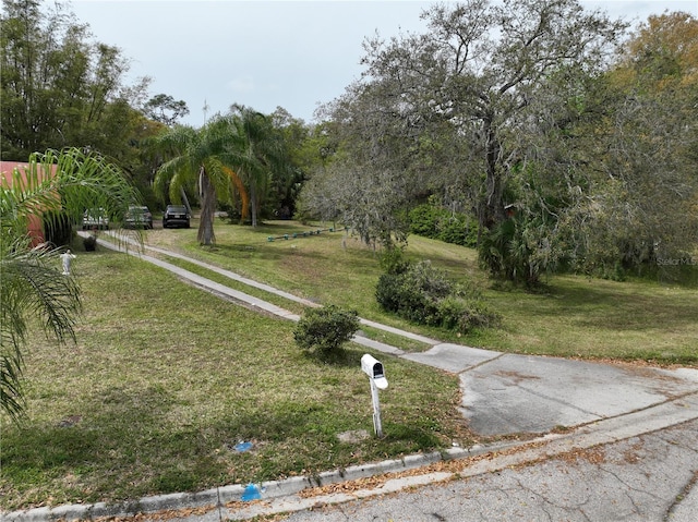 view of community with a yard