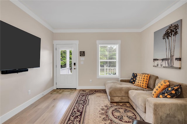 living room with ornamental molding and light hardwood / wood-style flooring