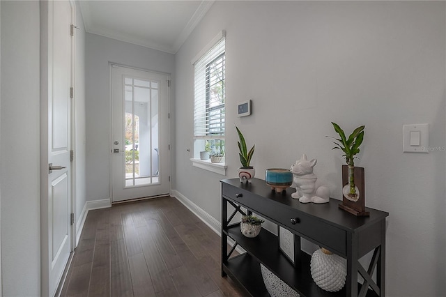 entryway featuring dark wood-type flooring and crown molding