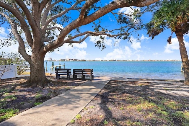 dock area with a water view