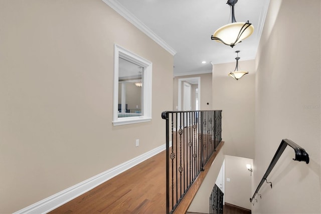 corridor with hardwood / wood-style flooring and ornamental molding