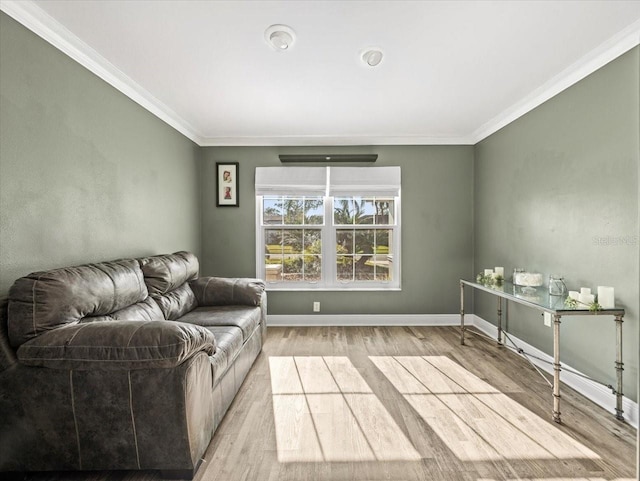 living room featuring ornamental molding and light hardwood / wood-style floors