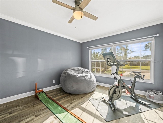 workout area with ornamental molding, ceiling fan, and wood-type flooring