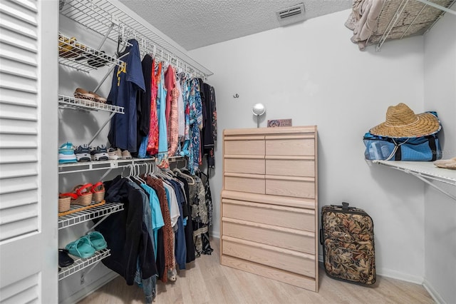 spacious closet featuring wood-type flooring