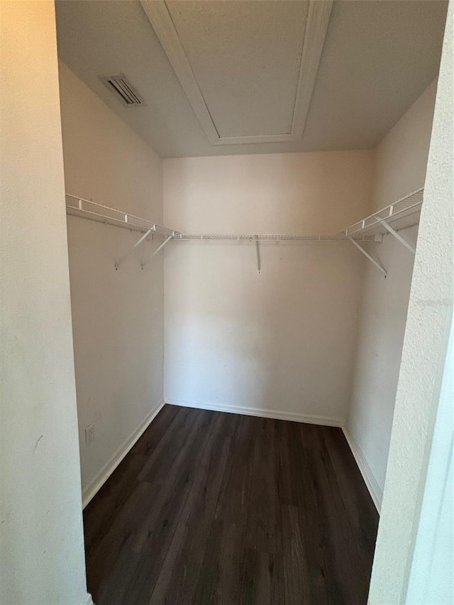 walk in closet with dark hardwood / wood-style flooring