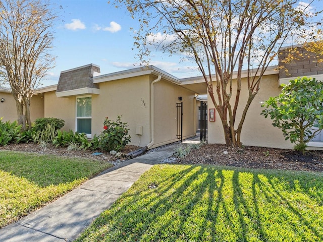 view of front of home featuring a front lawn and stucco siding