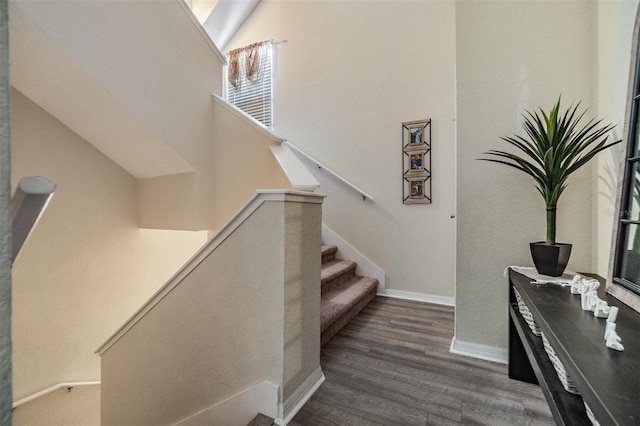 stairs with hardwood / wood-style flooring