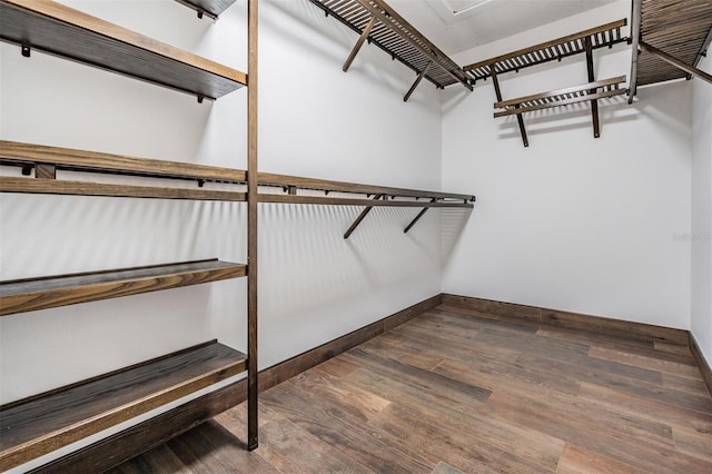 walk in closet with wood-type flooring