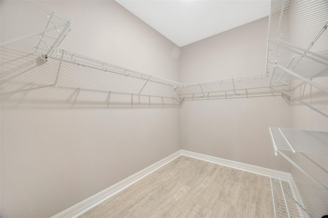 walk in closet featuring hardwood / wood-style floors