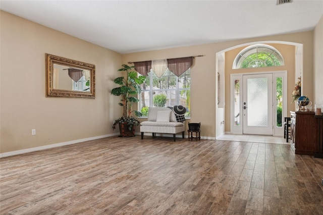 foyer with a wealth of natural light and wood-type flooring