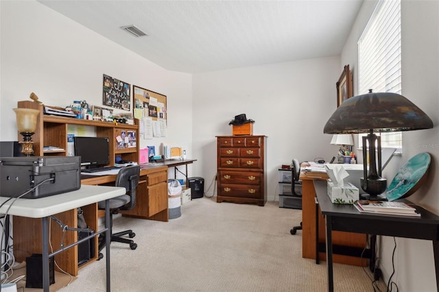 office featuring light colored carpet