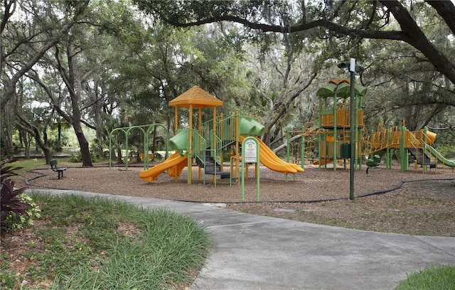 view of jungle gym