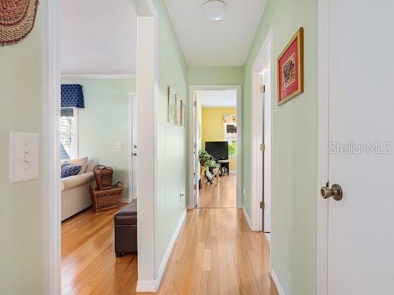 hallway with light hardwood / wood-style flooring