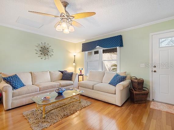 living room featuring light wood-type flooring, crown molding, plenty of natural light, and a textured ceiling