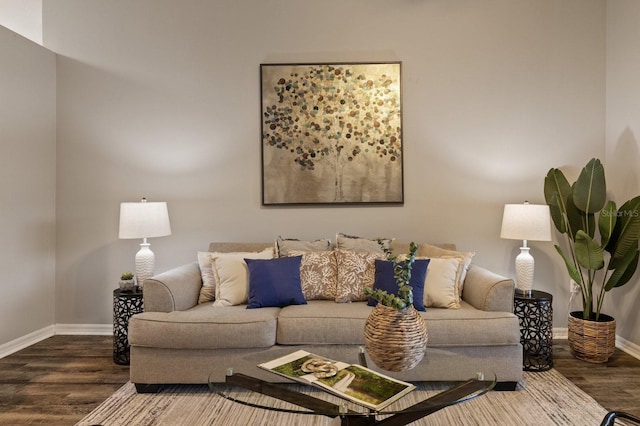 living room featuring wood-type flooring