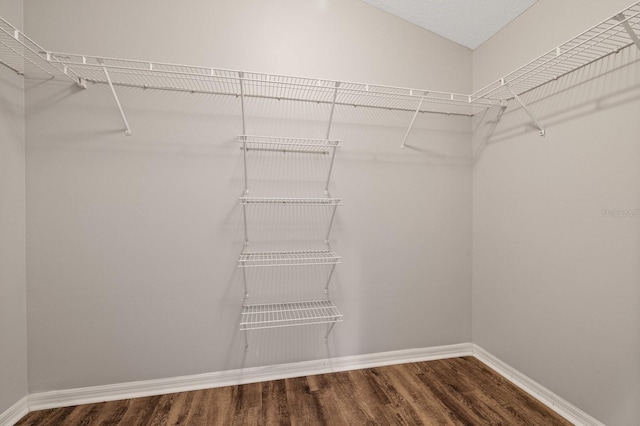 spacious closet featuring hardwood / wood-style flooring