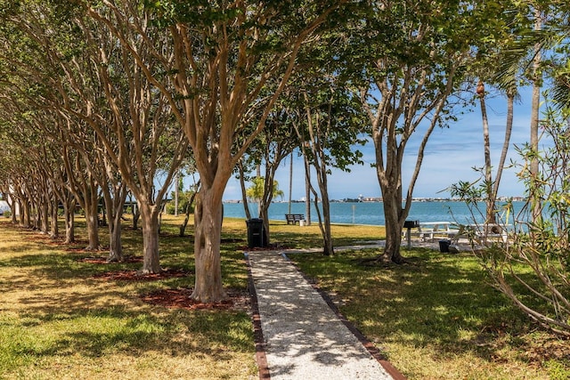 view of community featuring a water view and a lawn