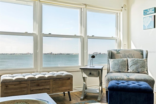 sitting room featuring hardwood / wood-style floors, a water view, and a healthy amount of sunlight