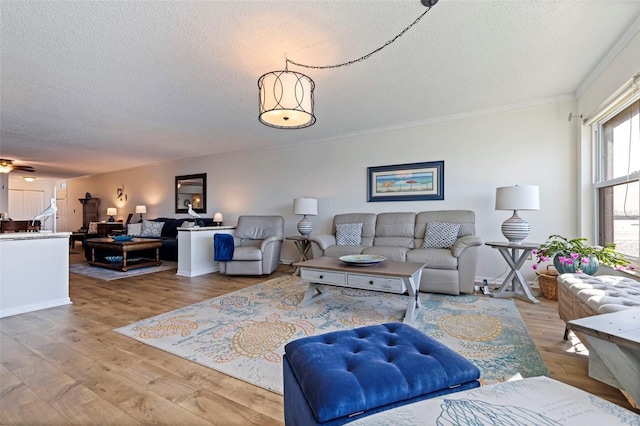 living room featuring a textured ceiling, ornamental molding, and hardwood / wood-style floors