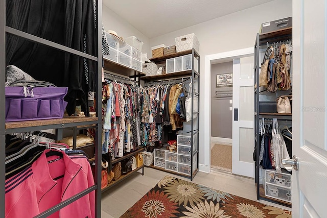 view of spacious closet