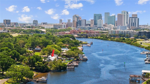 bird's eye view with a water view