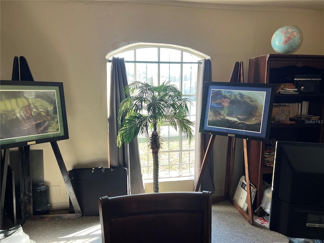 living area with carpet