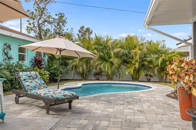 view of swimming pool with a patio area