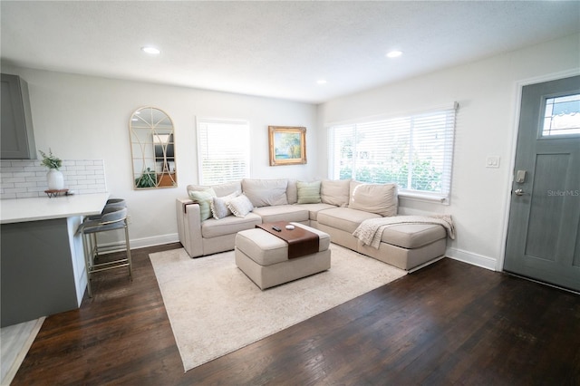 living room with dark hardwood / wood-style flooring