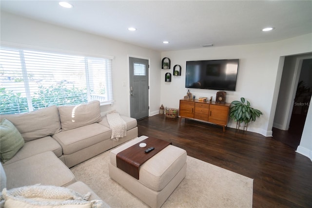 living room featuring dark hardwood / wood-style flooring