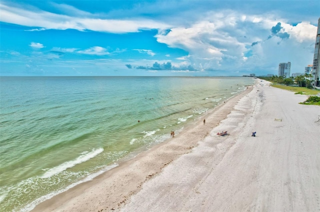 water view featuring a beach view