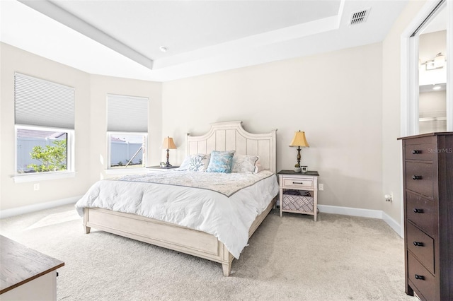carpeted bedroom featuring a tray ceiling