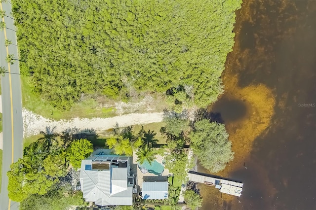 bird's eye view