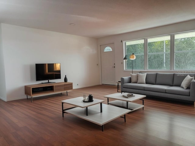 living room featuring dark hardwood / wood-style flooring