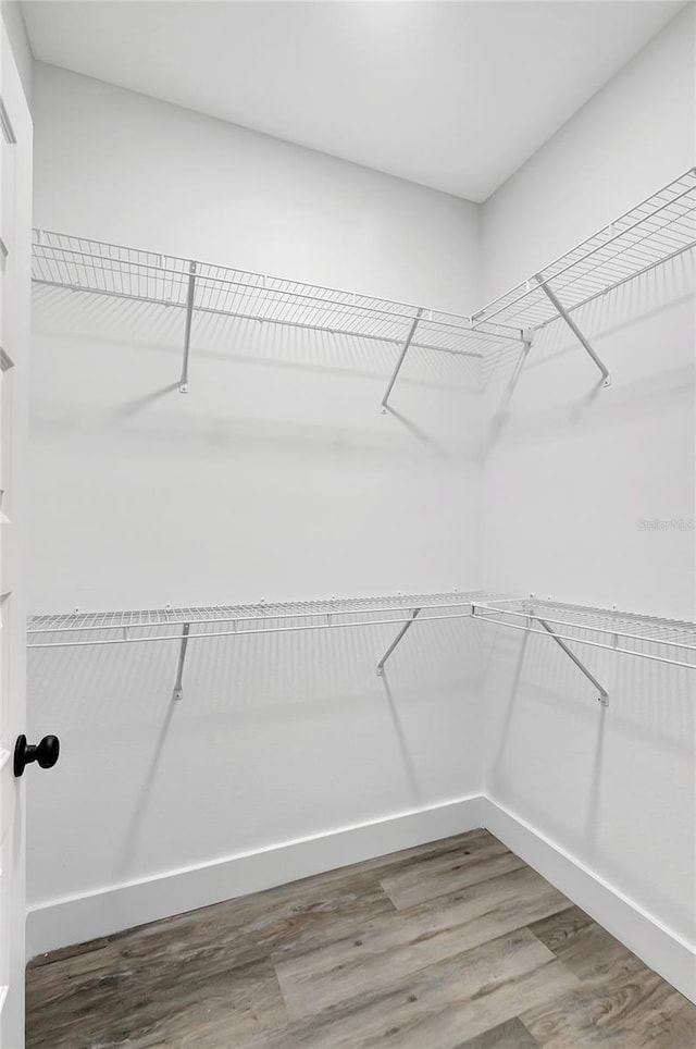 walk in closet featuring hardwood / wood-style floors