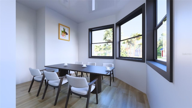 dining space with light hardwood / wood-style flooring