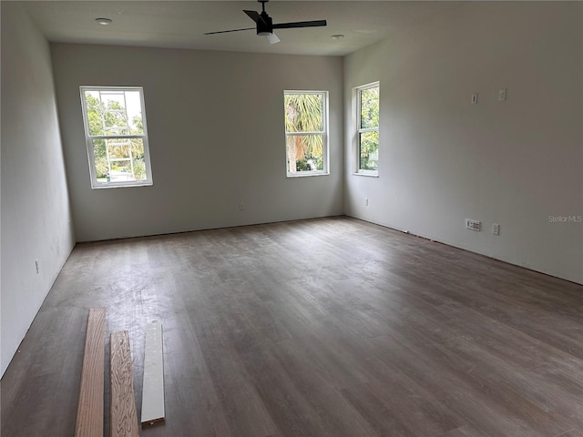 4009 W Euclid Ave, Tampa, FL 33629 - photo 21