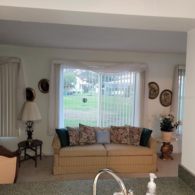 living room featuring carpet floors