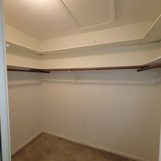 walk in closet with carpet