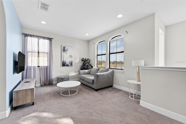 carpeted living room with plenty of natural light