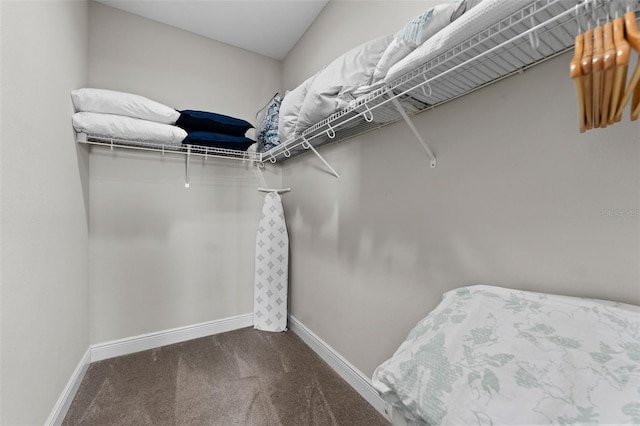 spacious closet featuring carpet floors