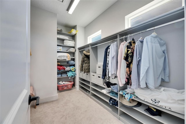 spacious closet with light carpet