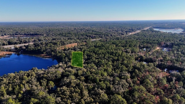 Martha Ave, Interlachen FL, 32148 land for sale